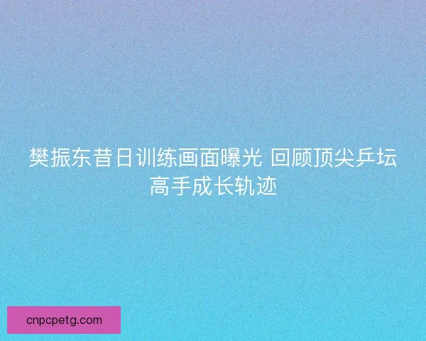 樊振东昔日训练画面曝光 回顾顶尖乒坛高手成长轨迹