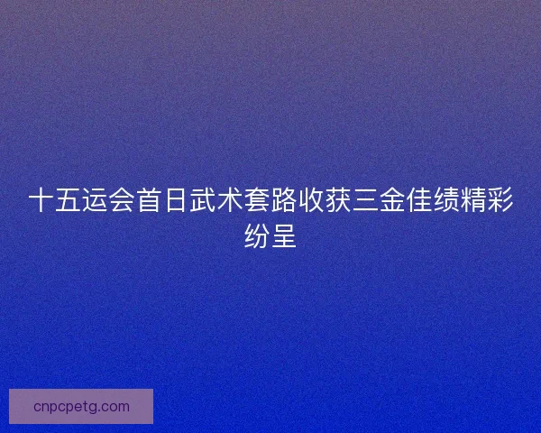 十五运会首日武术套路收获三金佳绩精彩纷呈