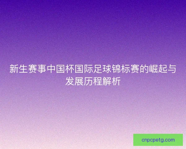 新生赛事中国杯国际足球锦标赛的崛起与发展历程解析