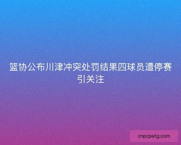 篮协公布川津冲突处罚结果四球员遭停赛引关注