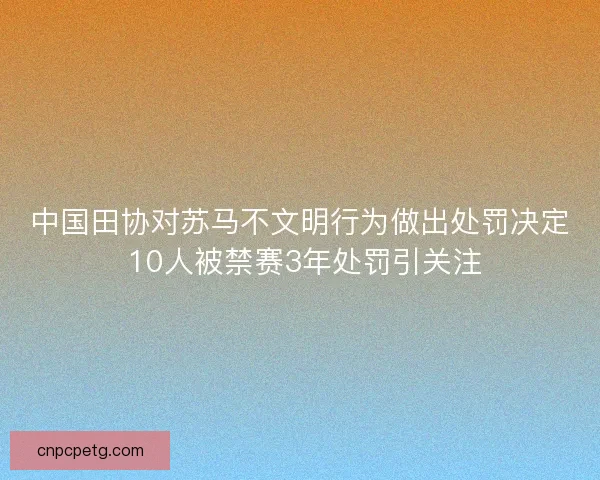 中国田协对苏马不文明行为做出处罚决定 10人被禁赛3年处罚引关注 中国田协对苏马不文明行为做出处罚决定 10人被禁赛3年处罚引关注