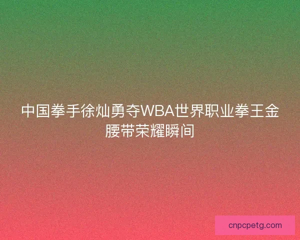 中国拳手徐灿勇夺WBA世界职业拳王金腰带荣耀瞬间